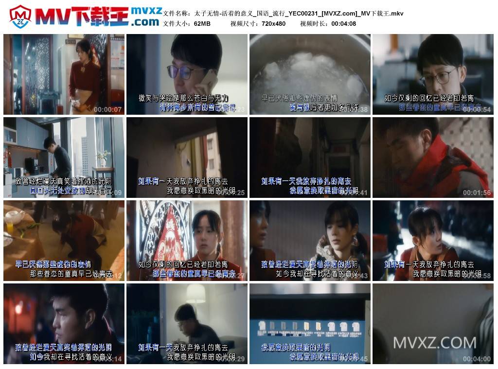 太子无情-活着的意义_国语_流行_YEC00231